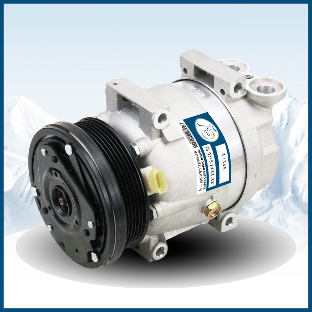 CO0031-V5-Buick-Chevrolet-Daewoo-Compressor-96484932/FS-0315-0031-01